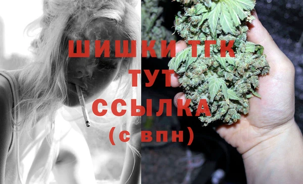 тгк Арсеньев