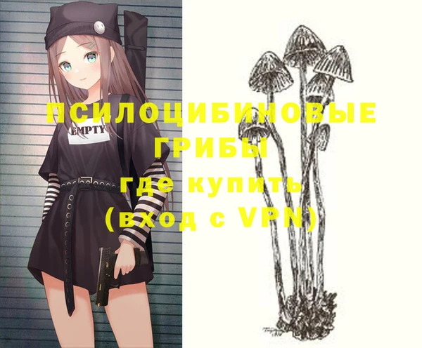apvp Армянск