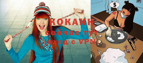 бошки Инта