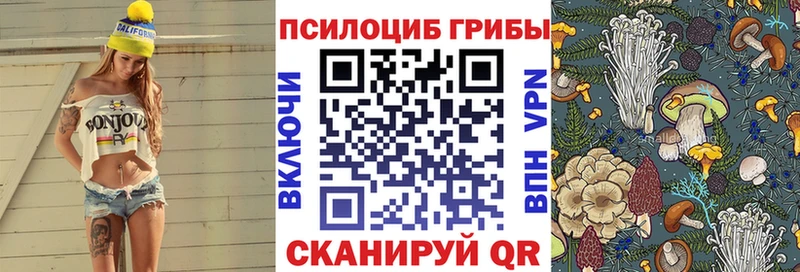 Псилоцибиновые грибы GOLDEN TEACHER где найти наркотики Семилуки